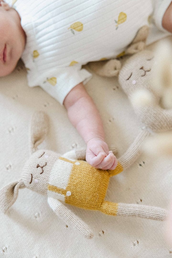 Bébé et son doudou, séance nouveau-né